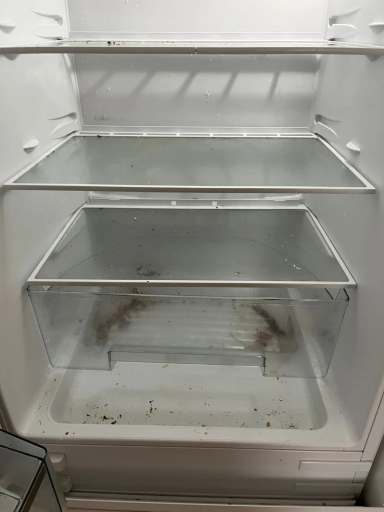 Køleskab med snavs på hylder og i grøntsagsskuffen før rengøring